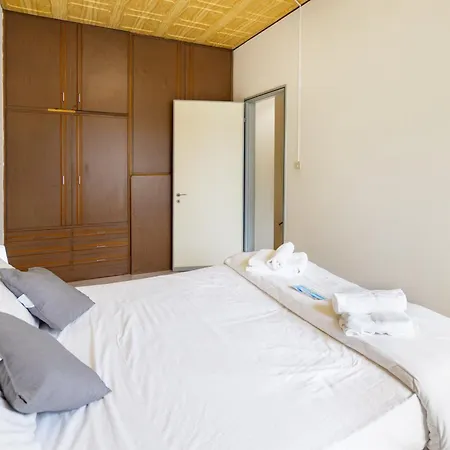 A Schiera Nella Pineta Di *