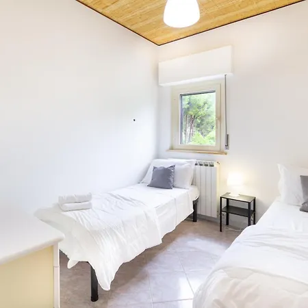 A Schiera Nella Pineta Di * Silvi Marina