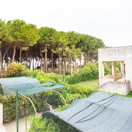 A Schiera Nella Pineta Di *