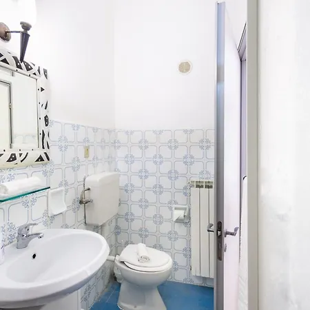 A Schiera Nella Pineta Di Silvi Marina