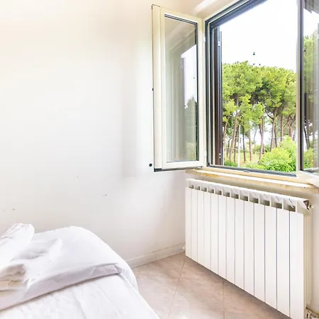 A Schiera Nella Pineta Di *