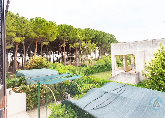 A Schiera Nella Pineta Di *