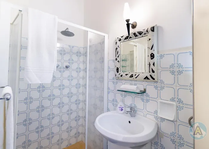 A Schiera Nella Pineta Di